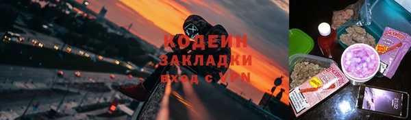 прущая мука Вяземский