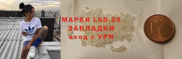 прущая мука Вяземский