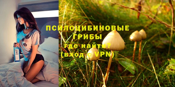 ECSTASY Вязники