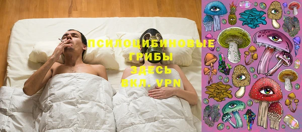 прущая мука Вяземский