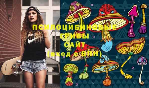 прущая мука Вяземский