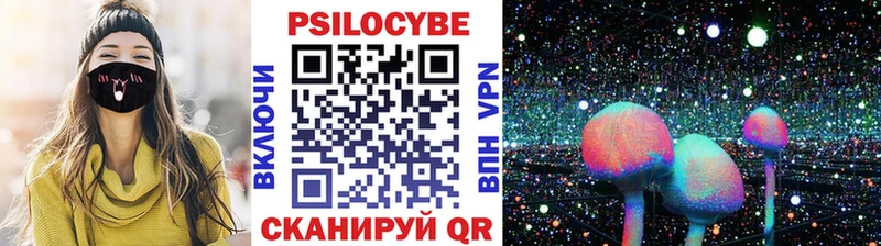 Псилоцибиновые грибы Psilocybine cubensis  Западная Двина 